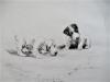 - THE BURNING QUESTION - ORIGINAL ETCHING