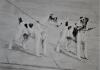 - WHO ARE YOU - ORIGINAL ETCHING SIGNED