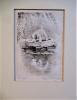 - NARCISSUS - ORIGINAL ETCHING SIGNED