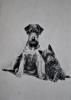 - PALS - ORIGINAL ETCHING - SIGNED