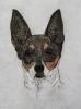 - TOY FOX TERRIER DOG - ISTED ARTIST ETCHING S&N