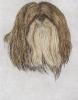 - LHASA APSO DOG - LISTED ARTIST ETCHING - S&N