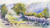 - CAMBUS VALLEY - WATERCOLOR - 1911