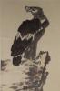 / Hanging Scroll of A Hawk on Peak