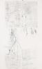 Robert Rauschenberg, Peanuts.