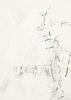 Robert Rauschenberg, Noname (Elephant).