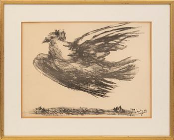 Pablo Picasso, After, "The Dove in Flight