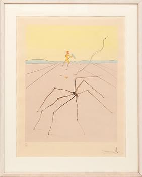 Salvador Dalí, Kumo the Weaver", 1976.