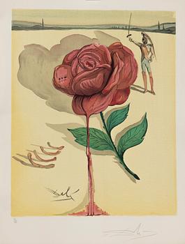 Salvador Dalí, Don Jose's Flower Song" from "Carmen