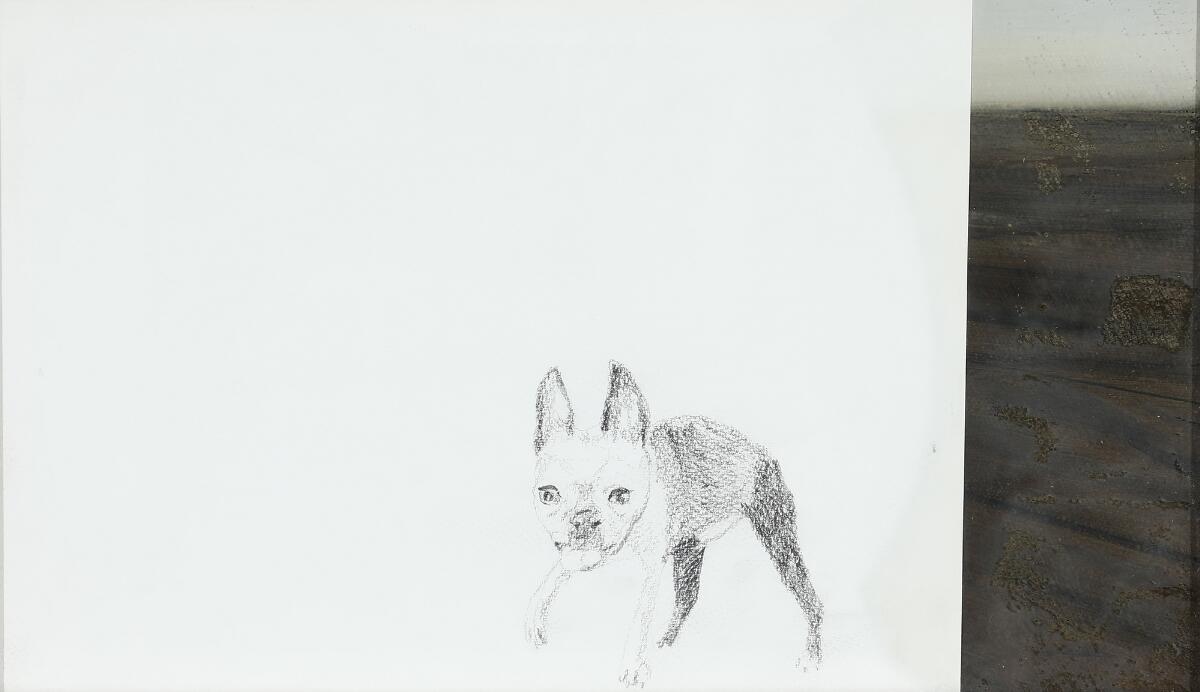 Ditte Ejlerskov, Bulldog