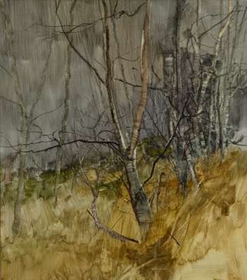 TREE STUDY - 1983