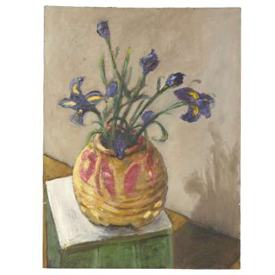 IRISES