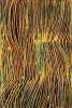 Molly Pwerle - Aldappa Dance Lines, 2005