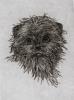 - AFFENPINSCHER - HAND COLORED ETCHING - S&N