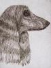 - AFGHAN HOUND - LISTED ARTIST ETCHING -S&N