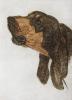 - ORIGINAL ETCHING - S&N