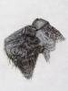 - FOUR ETCHINGS OF DOGS SUITE #5 - LISTED ARTIST