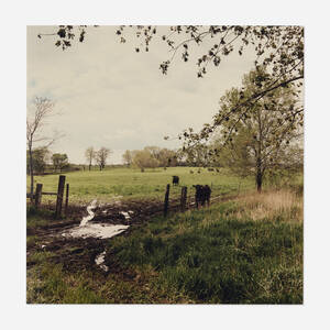 Cattle grazing, former Joliet Arsenal, east side, May 1995