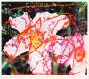 James Rosenquist, New York Says It.