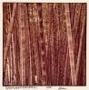 Robert Rauschenberg, Bamboo.