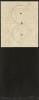 Robert Rauschenberg, Shirtboard (Concentric Circles).