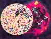 James Rosenquist, Woman in the Sun.