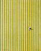 Ross Bleckner, Untitled (Cage).