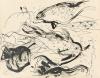 Fish.