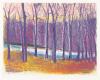 Wolf Kahn, Stream Through the Trees.