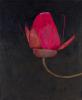 Jo Self, Amazonian Waterlily Bud.