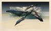 : "Mirage '88 TML - 9".
