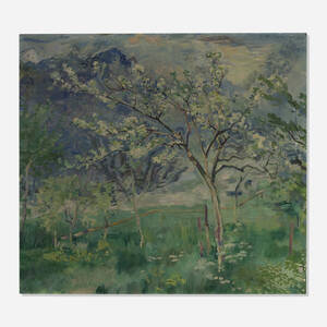 Apple Tree in Flower
