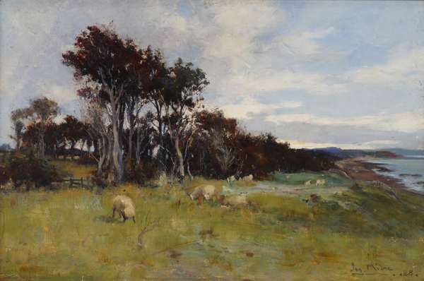 SHEEP GRAZING ON THE COAST