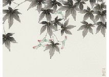 Nakajima Chinami, Untitled