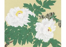Nakajima Chinami, Untitled