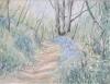 - BLUEBELL WOOD - ORIGINAL WATERCOLOR