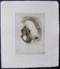 - BEDLINGTON TERRIER DOG - LISTED ARTIST ETCHING -S&N