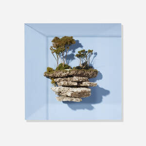 Untitled (from the Land Study series)