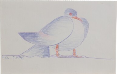 Pigeon