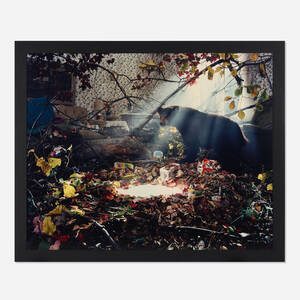 Untitled (bear with pool of milk)