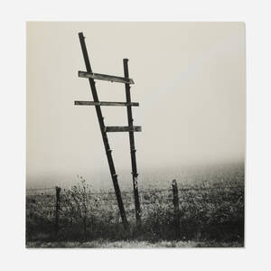 Winter Pasture