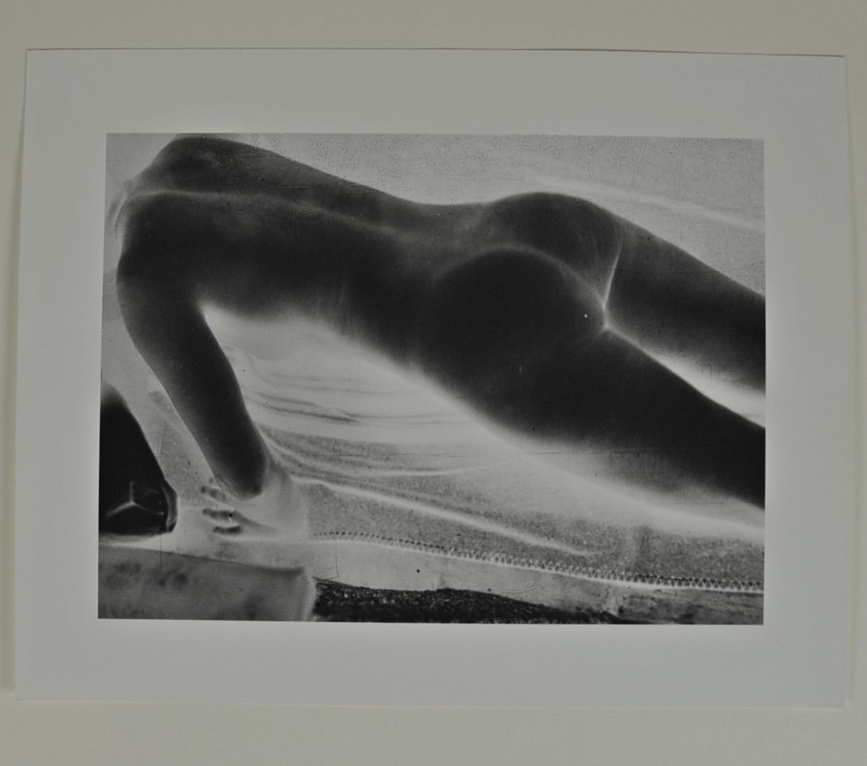 FOTOGRAFIE.