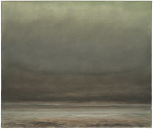 Untitled (from the series Deserto-Modelo)
