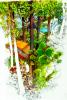 watercolor painting