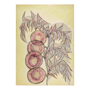 ANNA ZEMÁNKOVÁ (1908-1986) Untitled 24 3/4 x 17 3/4 in (62.8 x 45 cm) (Executed circa 1972)