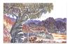 Landscape, c.1960