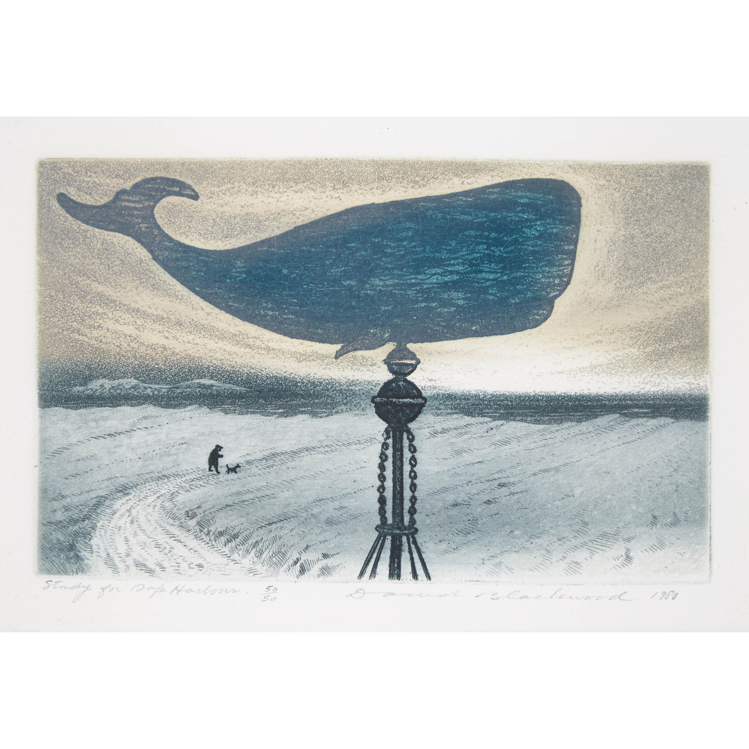 Study for Safe Harbour