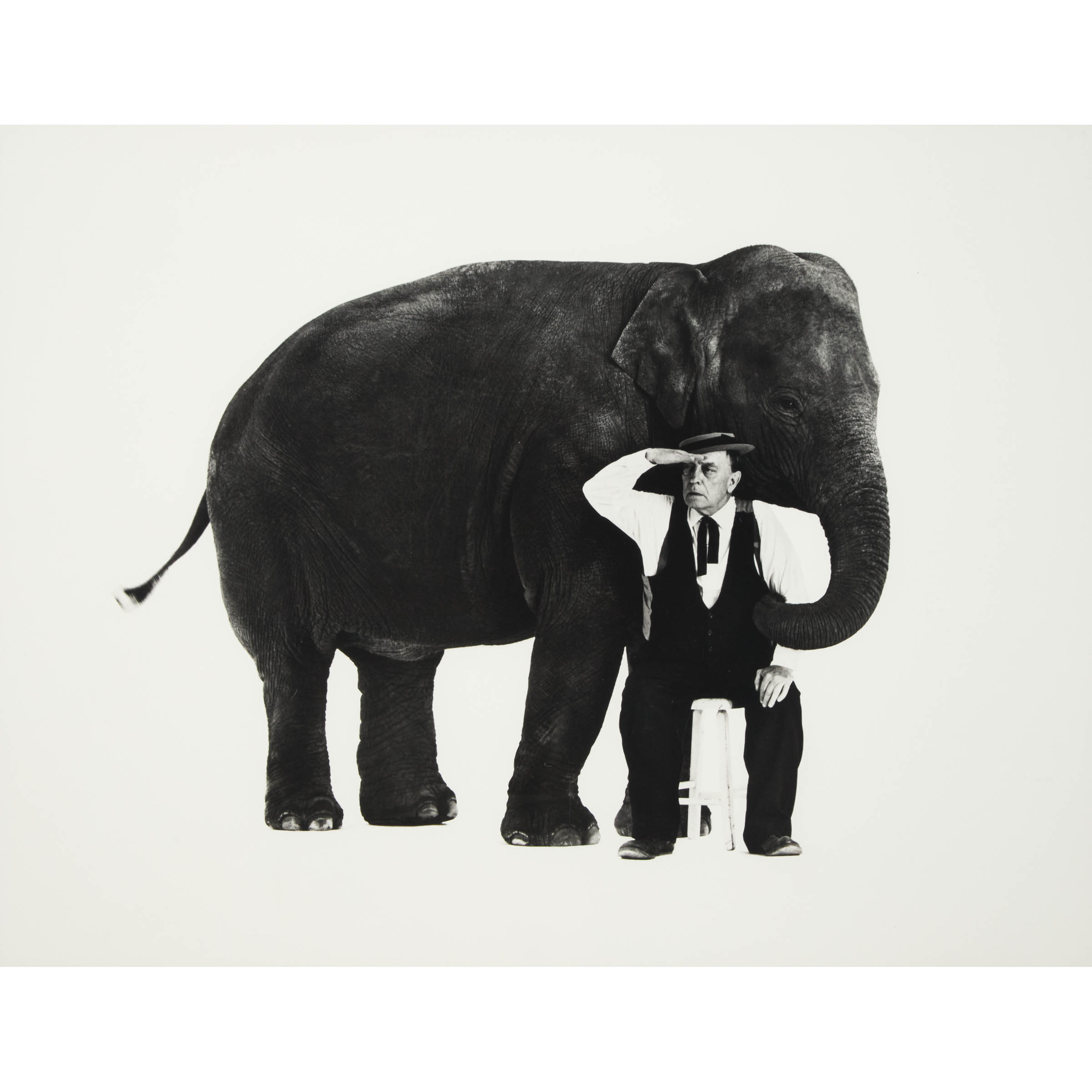 Buster Keaton, What Elephant