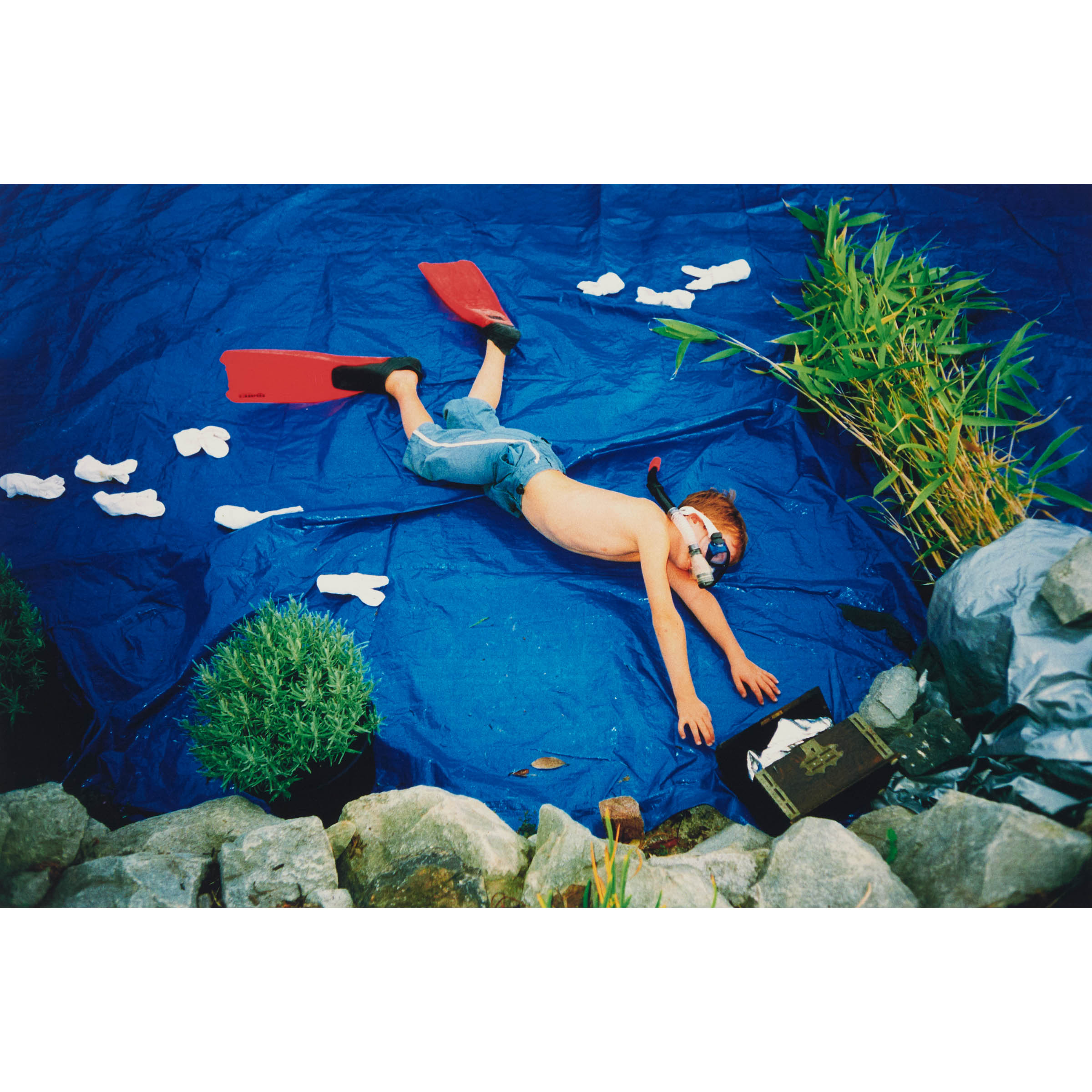 The Diver, from Dreams of Flying