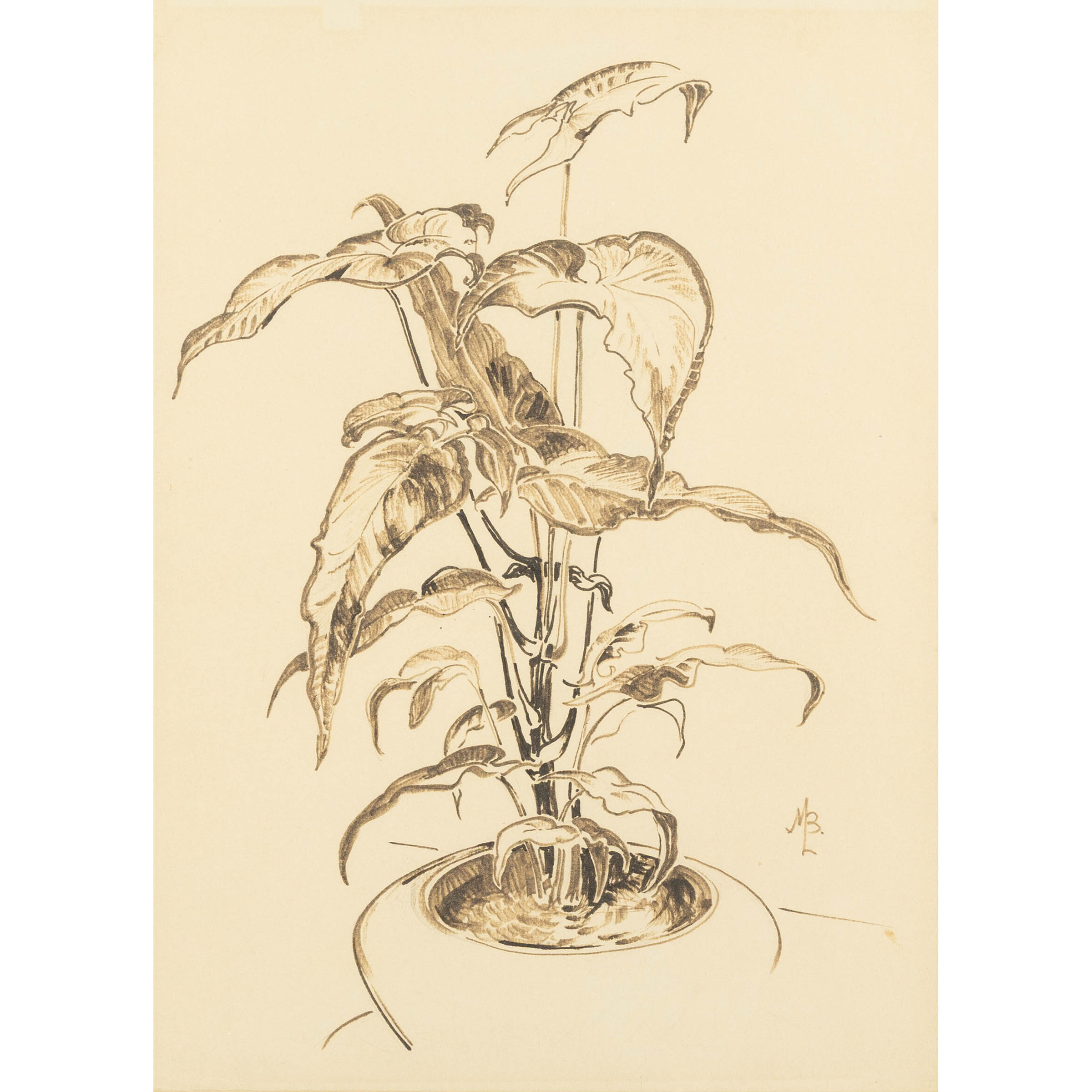 Untitled (Still Life), Ca. 1950